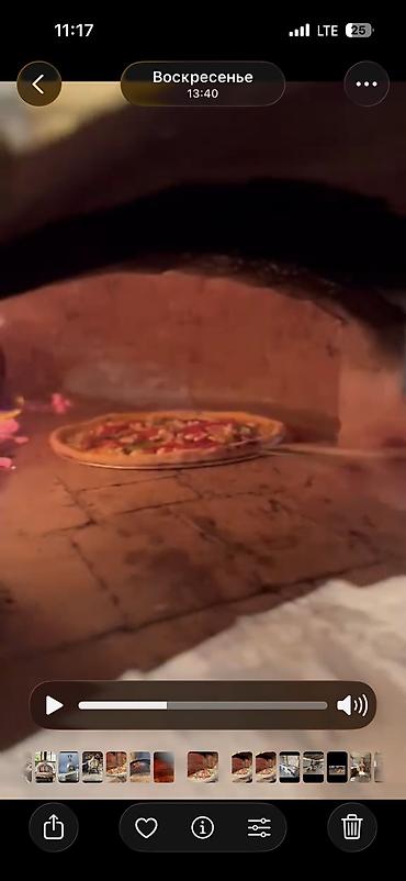 Печи, плиты: Дровяная купольная печь для пиццы и выпечки «Пушкапечь» - Формат — 8