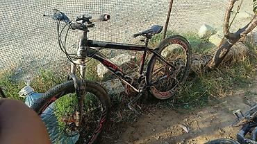 velasbet: Salam əleykum 26 skorsnoy velo du prablem skorus birdə tormuz qalan — 1