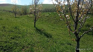 Долгосрочная аренда домов: 220 м², 6 комнат — 16