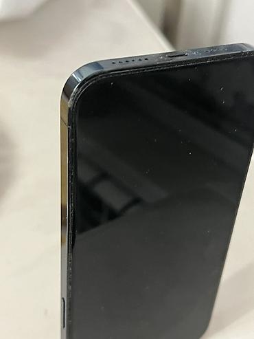 nikon d850: IPhone 12 Pro Max, Б/у, 256 ГБ, Sierra Blue, 86 % — 9
