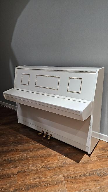 Musiqi alətləri: Piano əla vəziyyətdədir, çox səliqəli saxlanıb. Tokkata modeldir — 4