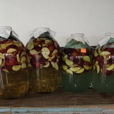 Turşular: Məhsul: Təbii alma sirkəsi Təsvir: - Şəkildəki bağdan yığılmış — 8