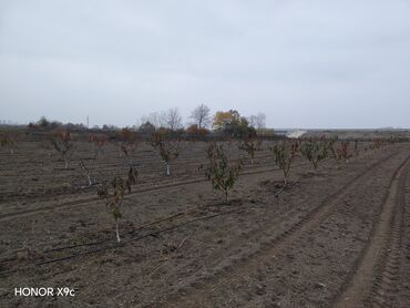 Torpaq sahələrinin satışı: Mülkiyyətçi — 3