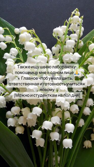 массаж мкр джал: Ищу себе помощницу в ателье, ответственную с умением шить и