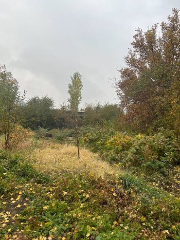 Продажа квартир: 6 соток