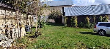 sumqayıt torpaq: 4 sot, Tikinti, Mülkiyyətçi, Kupça (Çıxarış) — 2