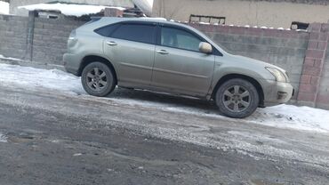 Lexus: Lexus RX: 2004 г., 3.3 л, Автомат, Бензин, Внедорожник