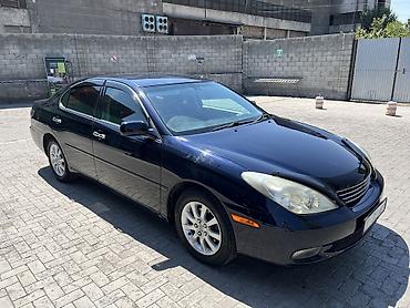 neta ls: Toyota Windom: 2003 г., 3 л, Автомат, Бензин, Седан — 2