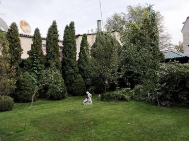 Долгосрочная аренда домов: 500 м², 2 комнаты, Евроремонт — 3