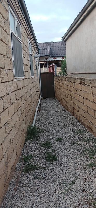 nzs kirayə evler: Kirayə mənzil verilir Musfiqabad qəsəbəsi kerpic zavod yoluna yaxn — 6