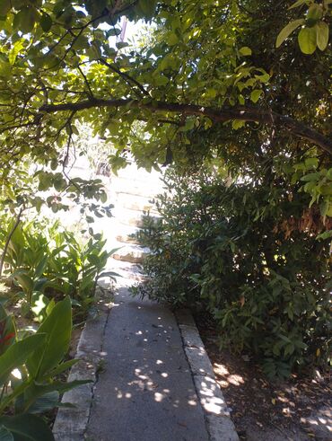 Həyət evləri və villaların satışı: 12 otaq, 400 kv. m, Kredit yoxdur, Yeni təmirli — 13