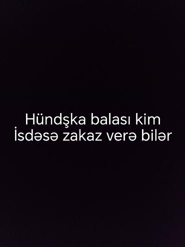 kurt hinduşka: Məhsul: Hündüşkə balası (xirtdəkdən yeni çıxmış və ya böyütmə üçün — 1