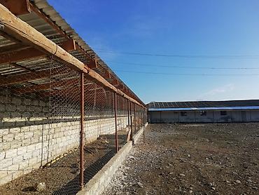 Kommersiya daşınmaz əmlakının satışı: 🔹 Satılır: Ferma – Xudat, Ləcət kəndi 🔹 ✅ Unikal fürsət! Xudat-Yalama — 14