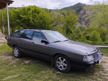 ауди 100: Audi 100 Avant в сером цвете. Этот универсал оснащен рейлингами на