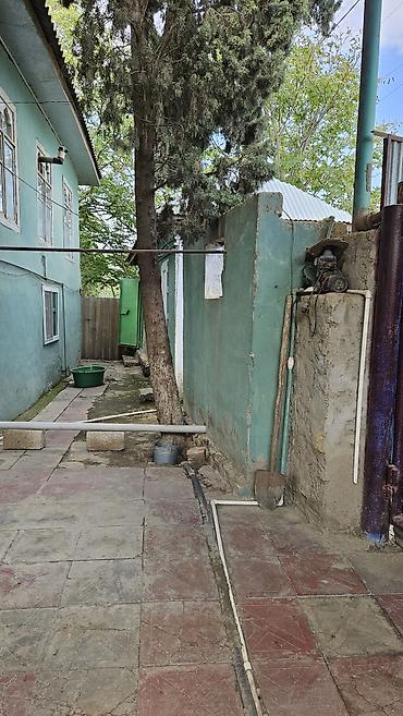 ev alqi satqi kiraye: Satılır: həyət evi 30 sot həyətdi bütün sənədləri var Cəlilabadın — 8