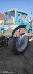 Traktorlar: Traktor Belarus (MTZ) 82, 1985 il, 85 at gücü, motor 4.7 l, İşlənmiş — 7
