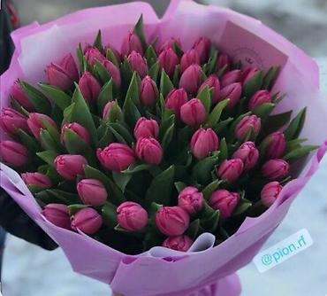 Букеты из живых цветов: Тюльпаны срезанные в наличии в ограниченном количестве -В продаже есть — 1