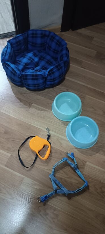 İtlər: Pudel, Sənədli — 9