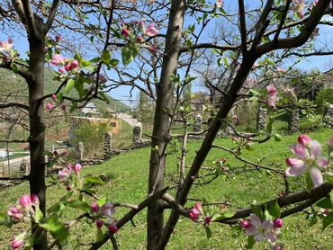 Günlük kirayə evlər: 122 kv. m, 3 otaqlı, Kombi, Qaz, İşıq -da lalafo.az — 25 Günlük kirayə evlər: 122 kv. m, 3 otaqlı, Kombi, Qaz, İşıq — 25