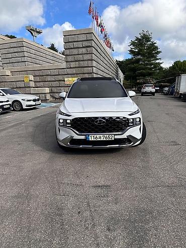 купить дверные ручки: Hyundai Santa Fe: 2021 г., 1.6 л, Гибрид, Кроссовер — 6