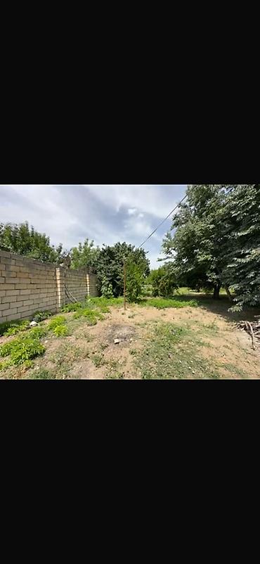 əkin sahəsi icarə: 15 sot, Tikinti, Mülkiyyətçi, Kupça (Çıxarış) — 7