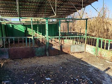 Распашные ворота: Продается дом, в доме четыре комнатыверанда,душ с туалет, есть at lalafo.kg — 30 Распашные ворота: Продается дом, в доме четыре комнатыверанда,душ с туалет, есть — 30