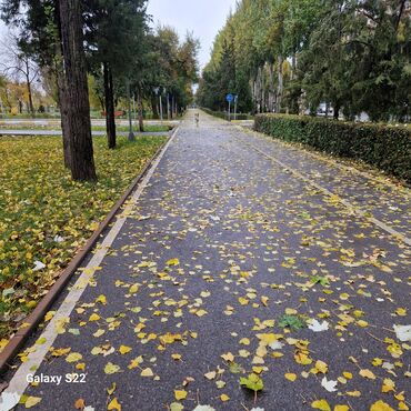 требуется уборка: Бөлмөлөрдү тазалоо, | Жумасына бир жыйнап тазалоо, | Офистер, Батирлер, Үйлөр