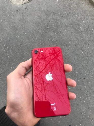 chekhol iphone se: IPhone SE 2020, 128 ГБ, Красный, Отпечаток пальца, Face ID