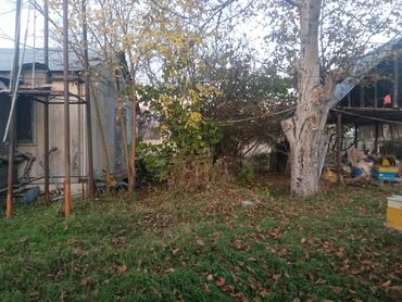 Həyət evi alıram: 128 kv. m, 8 otaq, Qaz, İşıq, Su — 14