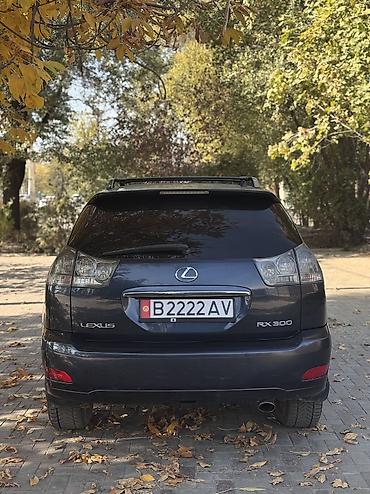 4a fe: Lexus RX: 2003 г., 3 л, Автомат, Газ, Кроссовер — 4