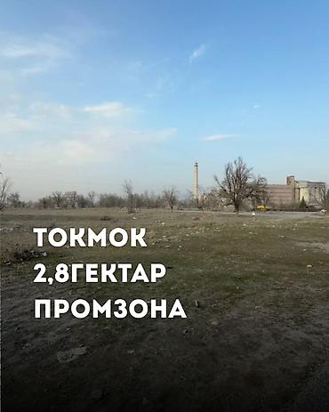 кызыл кия кыз: 280 соток, Бизнес үчүн, Кызыл китеп, Сатып алуу-сатуу келишими — 1