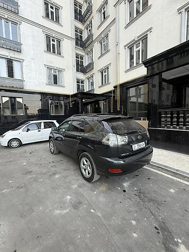 lexus rx бампер: Lexus RX: 2005 г., Кроссовер — 7