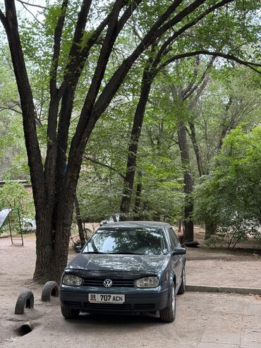 полик 5 д: Volkswagen Golf: 2006 г., 1.6 л, Автомат, Бензин, Хэтчбэк