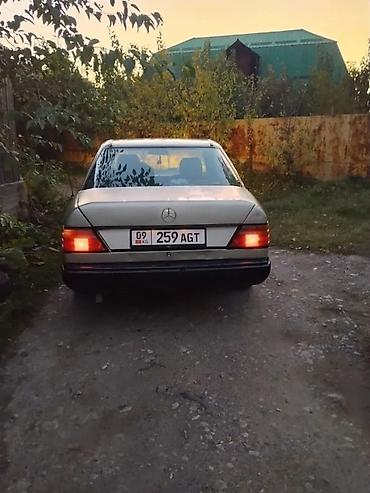 mercedes a class: Mercedes-Benz W124: 1990 г., Механика, Седан — 3