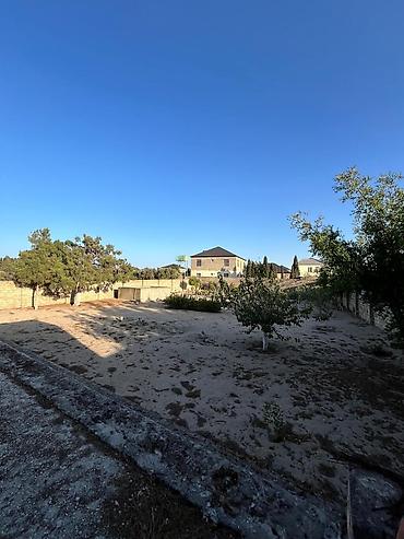 Torpaq sahələrinin satışı: 24 sot, Mülkiyyətçi, Kupça (Çıxarış) — 11