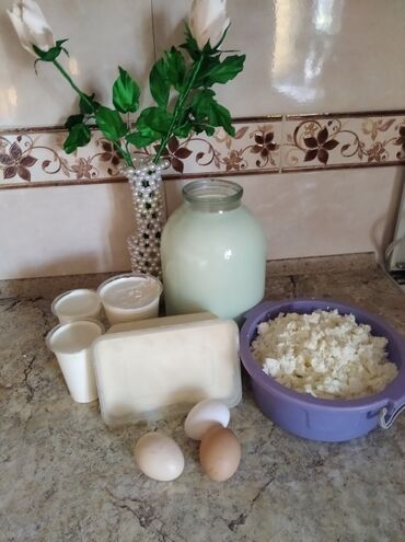 Дом и сад: Предлагаю для кафе, детских садов и школ молочную продукцию высшего