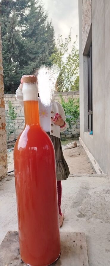 водяной фильтр гейзер престиж: Şüşə, 1, 3-dən çox l, Türkiyə