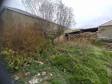 Torpaq sahələrinin satışı: Tikinti -da lalafo.az — 14 Torpaq sahələrinin satışı: Tikinti — 14