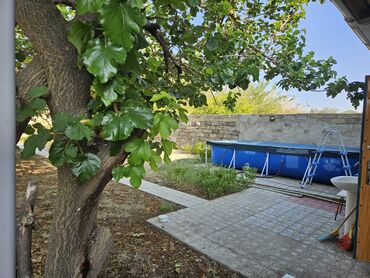 Bağ evlərinin satışı: Saray, 250 kv. m, 9 otaq, Hovuzlu, Qaz, İşıq, Kanalizasiya — 4