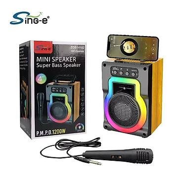 rant ace: Портативная акустика SING-E с микрофоном – компактная колонка для — 5