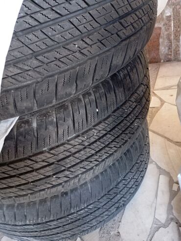 р19 диски: 265/55 р19 dunlop