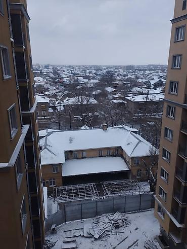 с петровка: 1 комната, 40 м², парк Фучика Элитка, 10 этаж — 8