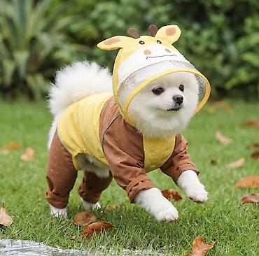 it ucun yuva: 🐶 İtlər üçün yağışlıq ⚠️ Zəhmət olmasa, yazmazdan əvvəl ölçü və — 1