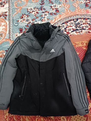 сойко бу: Эркектердин курткасы, XL (EU 42), Adidas, Колдонулган, түсү - Кара