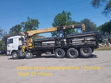 comp kg: Стрела 13 м, 12 т, Борт 25 кг — 1