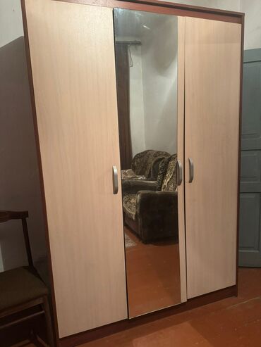 шкафа с зеркалом: Шкаф для одежды, Прямой