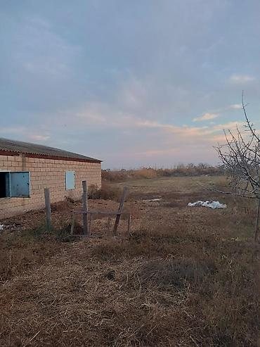 avto qaraj: 4 otaqlı, 150 kv. m, Kredit var, Orta təmir — 8