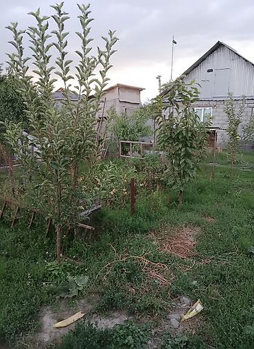 Продажа коттеджей и домов: 💎💎💎 Продаётся уютный Дом 🏘44кв.м 3 ком 💎💎💎 🏡Дачный посёлок Тепловик в — 2