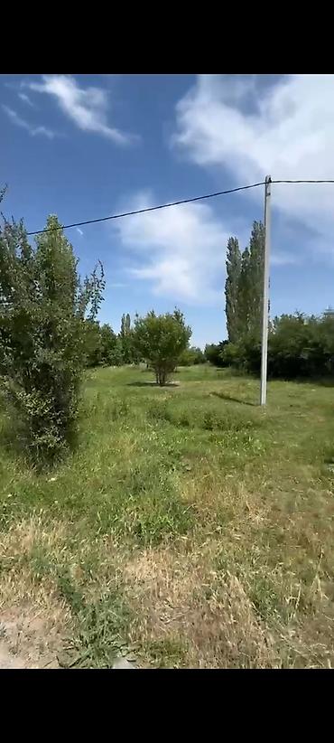 Жер тилкелери: 15 соток, Курулуш, Кызыл китеп — 2