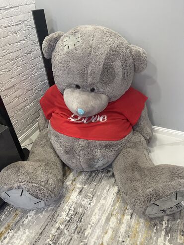 gencede ipoteka ile satilan evler: Yeni Teddy Bear satilir Cox boyuk olchude 250 azn-e alinib 1 hefte